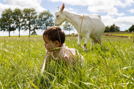 Baby and goat in a grassy field