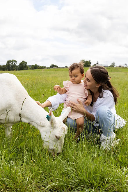 Switching Formula? How to Transition Your Baby to Capricare