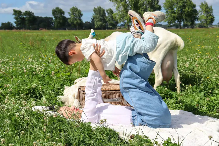 CHARLIE Study – A feasibility, double-blinded, randomised controlled trial: feeding behaviour and quality of life of infants fed whole goat milk-based versus whey-based cow milk formula.