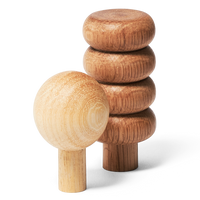 Set of wooden toys on a white background